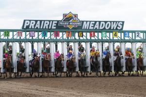 Prairie Meadows - Start Gate