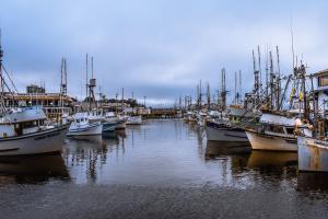 Boats at Fisherman's Wharf
