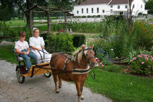 Amish and Mennonite Communities in LaGrange County