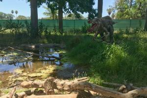 zoo