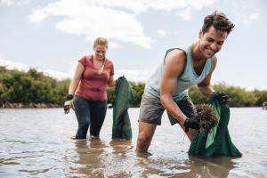 Clearing invasive species