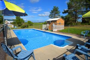 Pool at Lane's Country Homestead & Pine Lodge