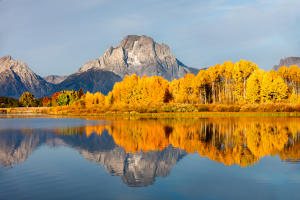 Mt Moran in the fall