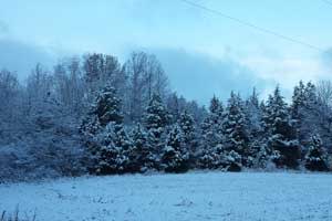 Winter