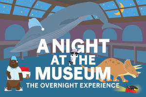 A Night at the Museum