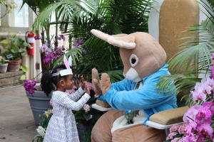 Buffalo and Erie County Gardens Welcome Spring to Buffalo