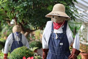 Scarecrow Trail