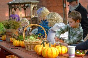 Waldorf School of Saratoga Springs Autumn Festival