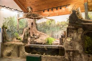 Wildlife Educational Center Turtle Tank  by OC Tourism