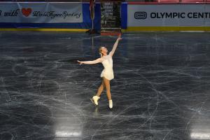 World Figure and Fancy Skating Championships