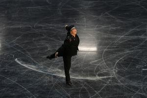 World Figure and Fancy Skating Championships