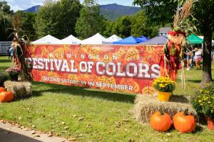 Festival of Colors