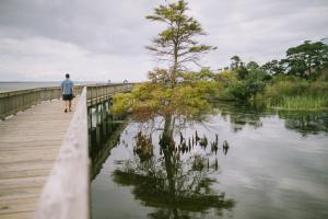 boardwalk jon taylor sweet