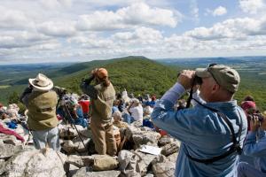 Fall raptor migration at Hawk Mountain