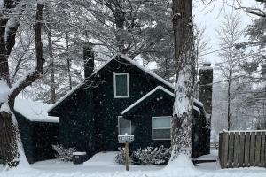 Birch Cabin in the snow