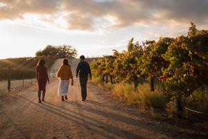 High Camp Wines