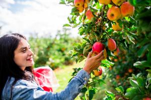 Twin Pines Orchards