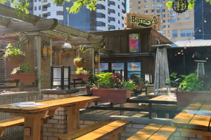 Barneys patio