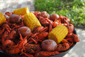 Crawfish