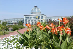 LewisGinter2