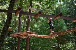 Child doing treetop obstacle course