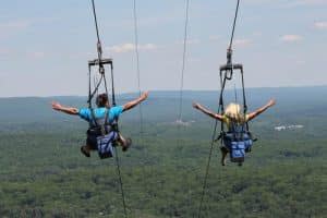 Adirondack Eagle Flyer