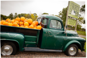 truck of pumpkins