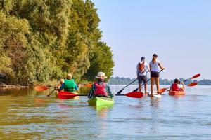 People paddling kayaking