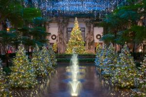 Longwood Christmas Trees