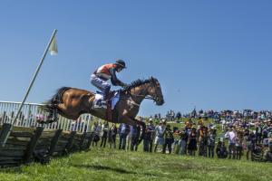 Winterthur's Point-to-Point