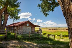 TA Ranch in Buffalo.