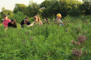 Foraging Session at Horn Farm Center