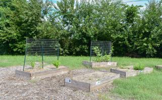 Claysburg Community Garden