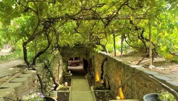 staircase leading to entrance of an underground garden