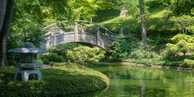 Fort Worth Botanic Garden - Japanese Garden