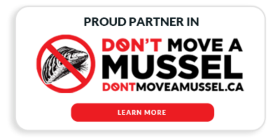Don't Move a Move Partner