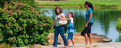 Cox Arboretum
