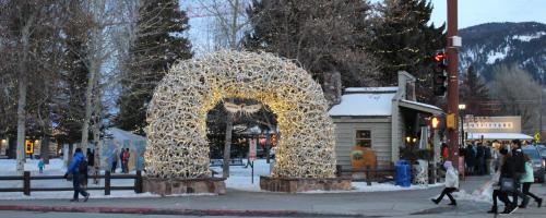 Antler Arch with holiday lights