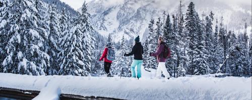 Snowshoeing