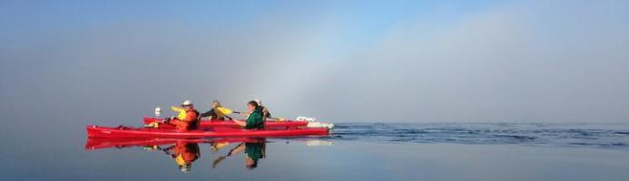 Guided Kayak Tour