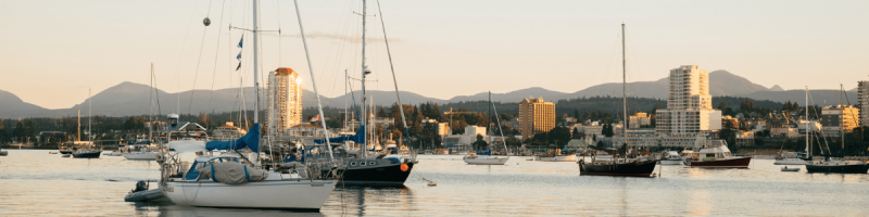 boats