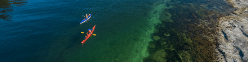 aerial of kayakers