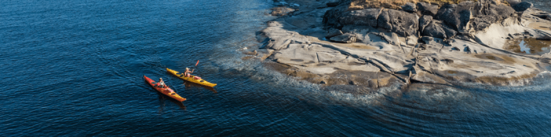 aerial of kayakers