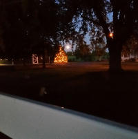 moon-light-finger-lakes-driving-tree