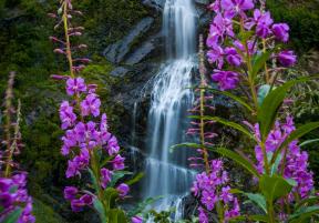 Bridal Veil Falls