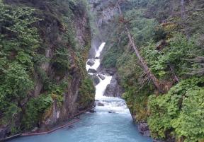 a waterfall through a lush canyon