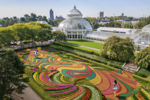 Flower Power Rendering