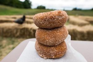 Gallagher's Pumpkin Donuts