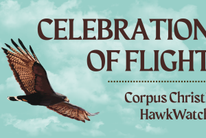 Celebration of Flight
