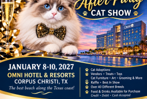 2027 New Year's After-Party Cat Show
